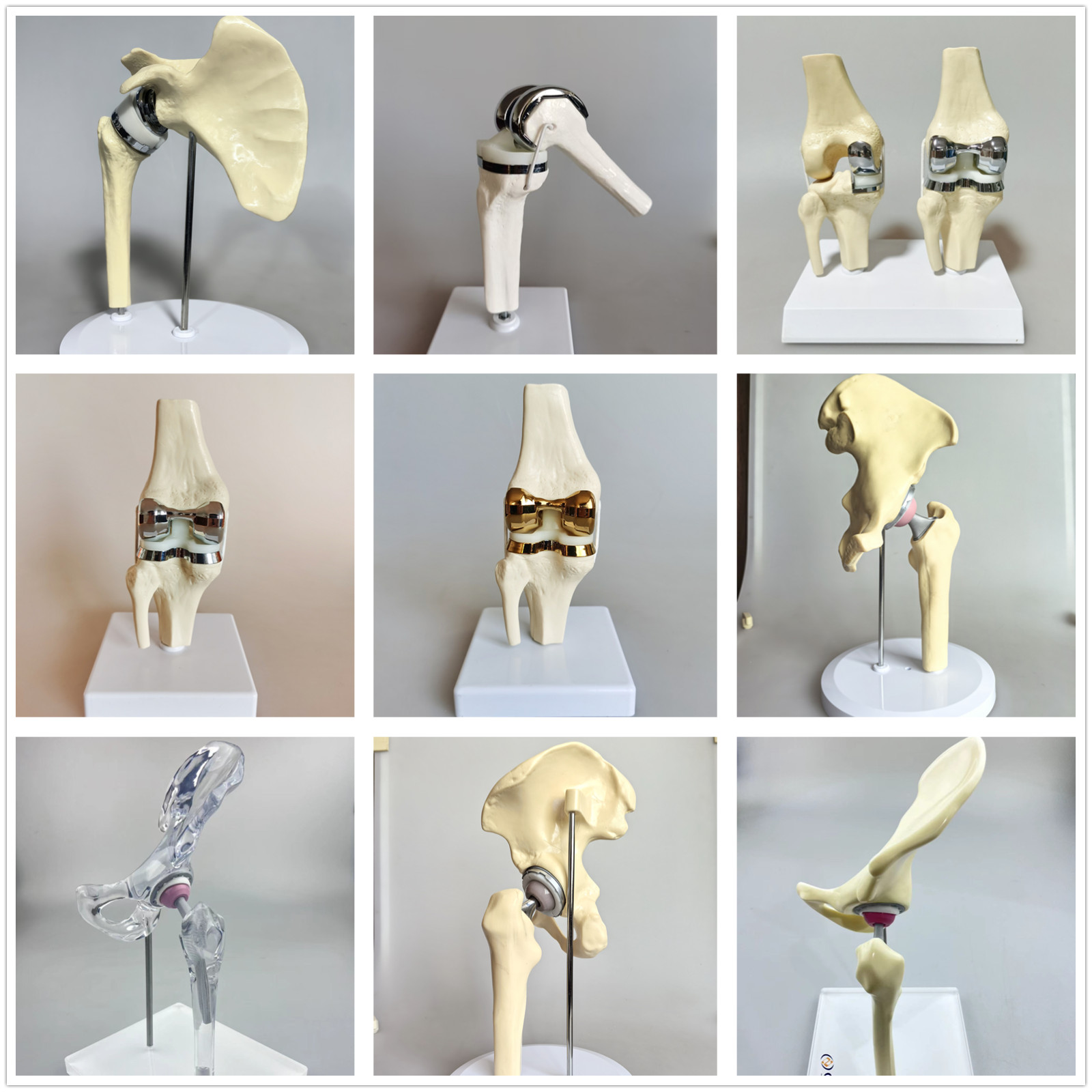 Artificial Shoulder Replacement Anatomical Model Knee Shoulder Elbow Joint Model