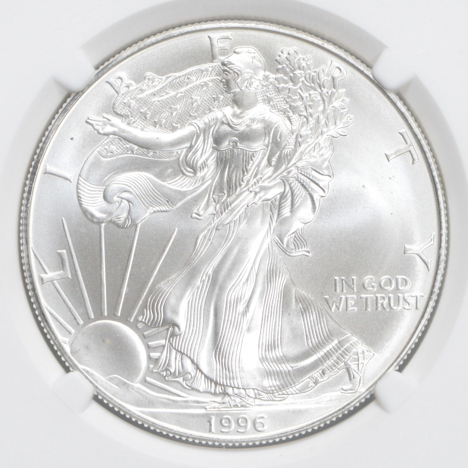 MS69 1996 American Silver Eagle NGC Brown Label
