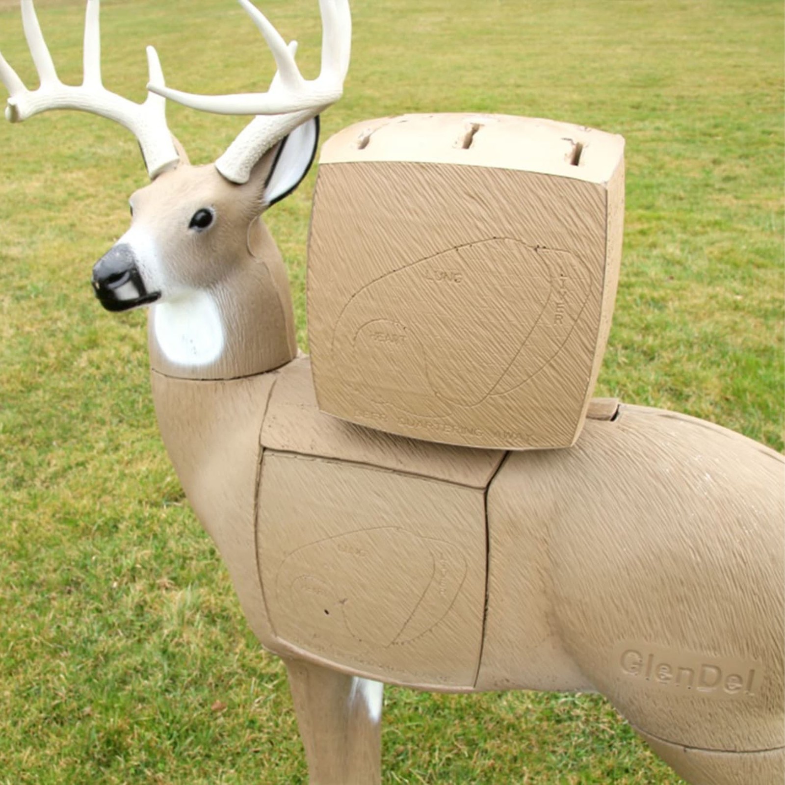 GlenDel Target Buck w/4-Sided Insert