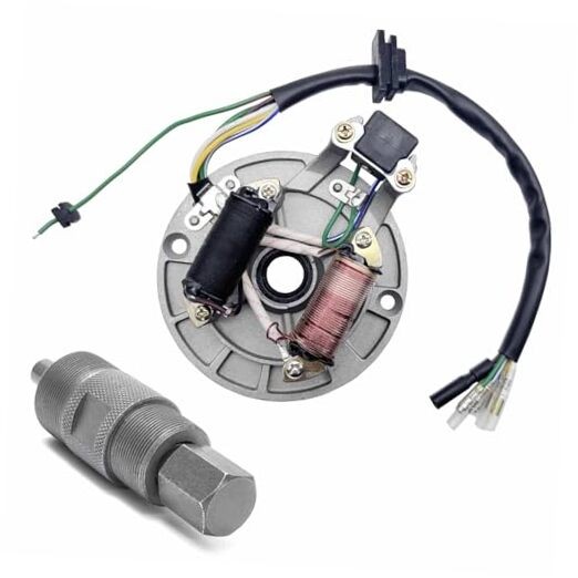 2 Coil Ignition Magneto Stator Plate for 50 70 90 110 125cc Taotao Kazuma SSR