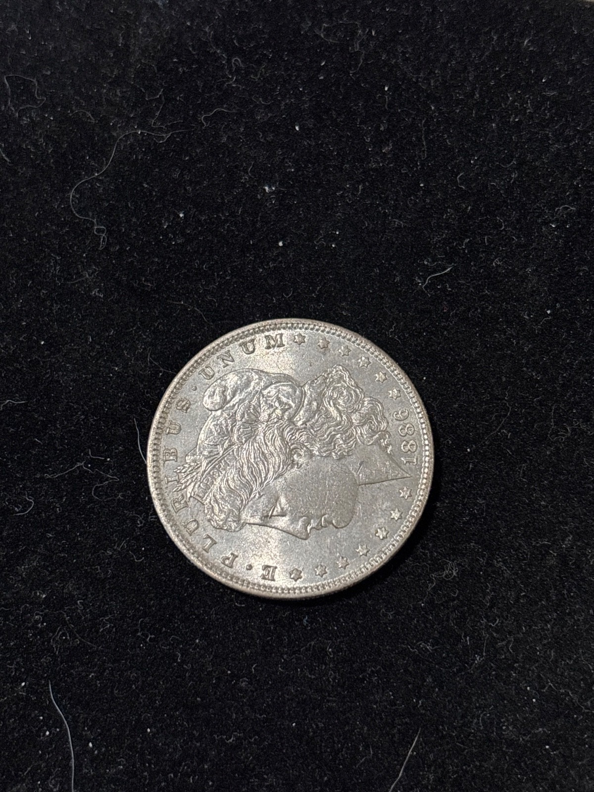 Morgan Silver Dollar 1886 P
