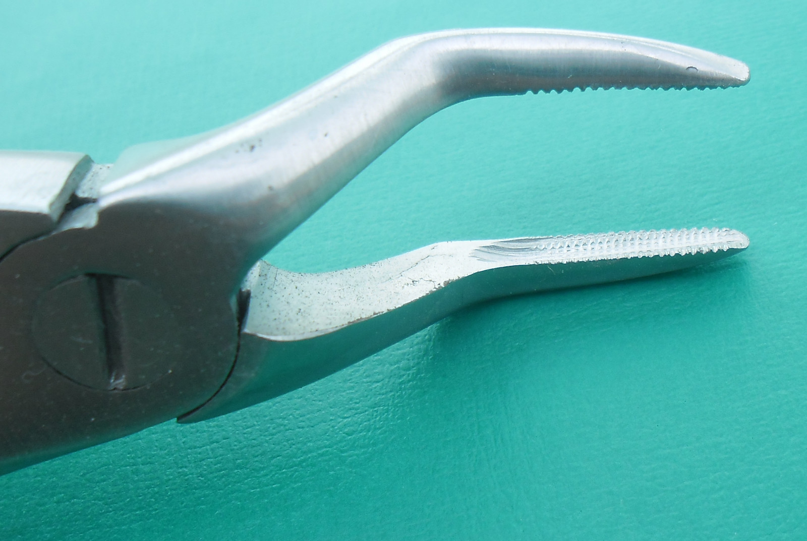 Tooth Extracting Forcep 51A Surgical Dental Instruments