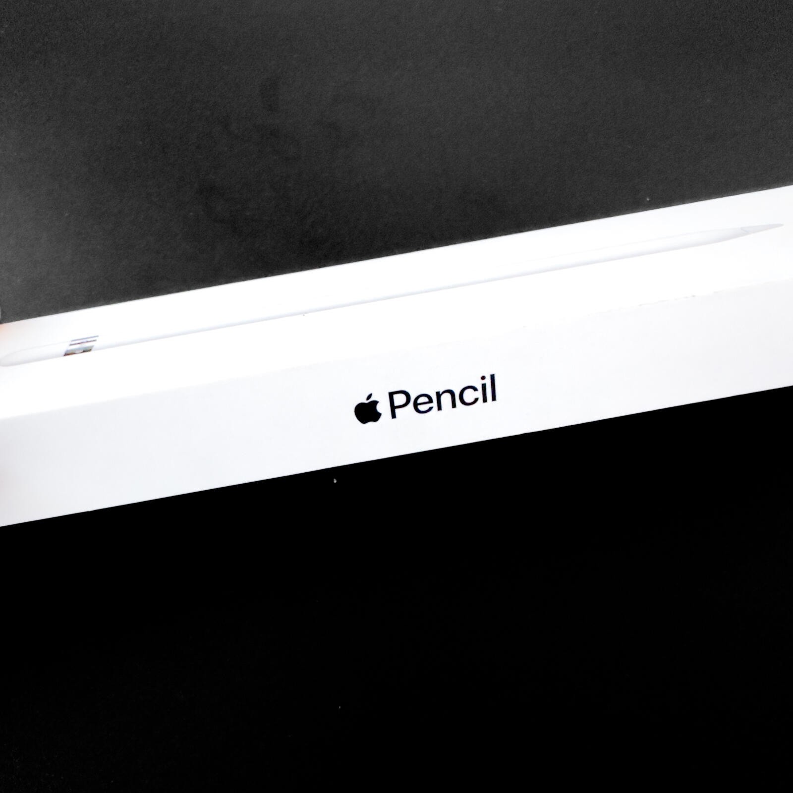1st Generation Apple Pencil for iPad in White