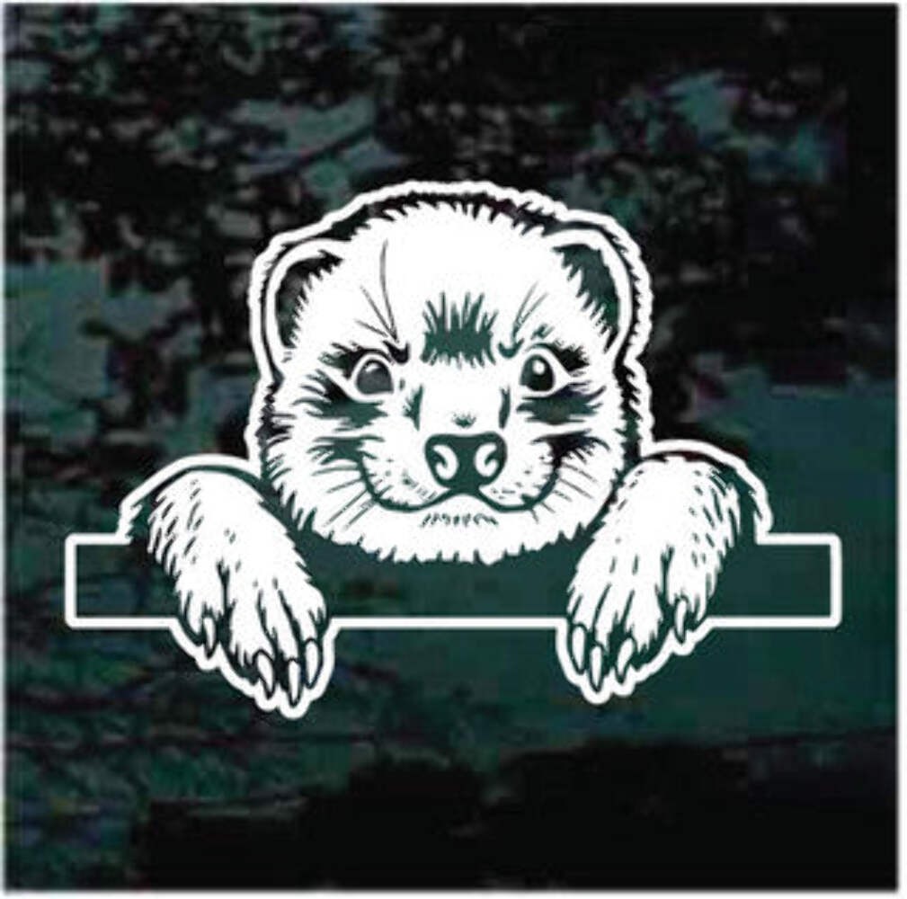 Ferret Peeking Decals | Die Cut Vinyl Decal