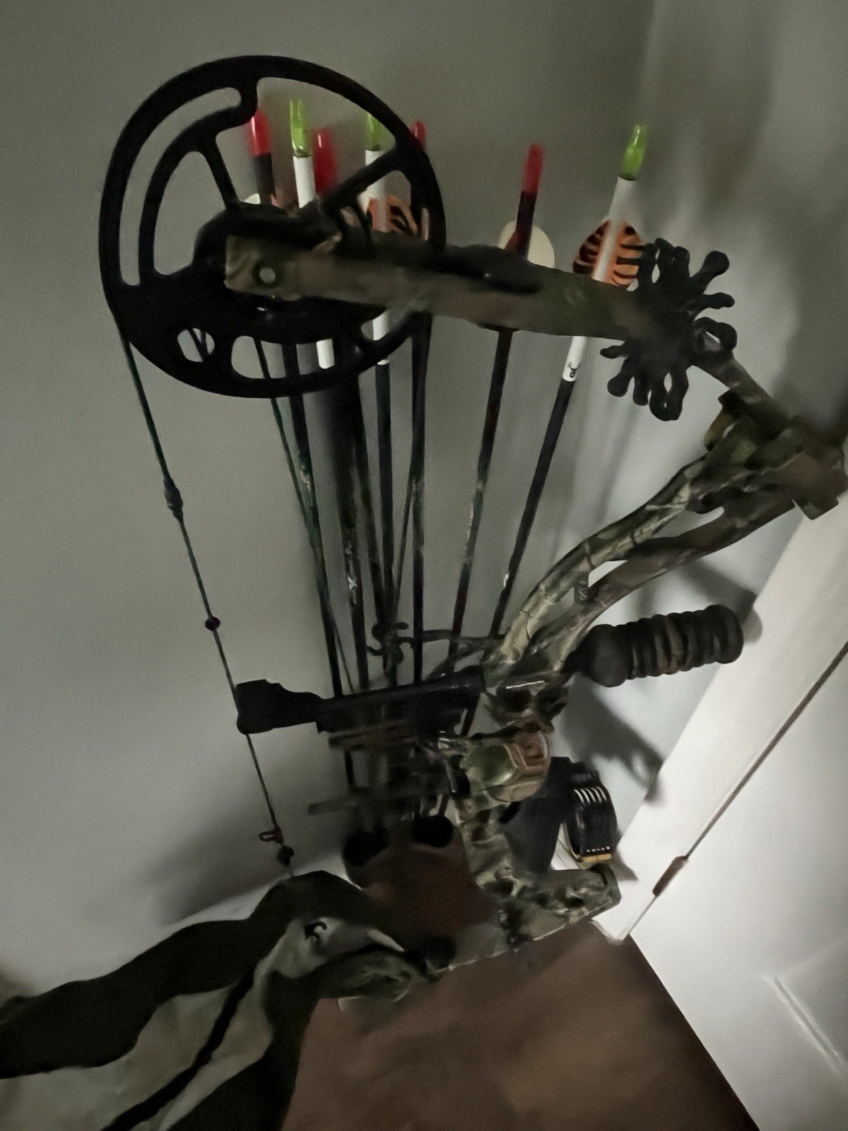 Bow tech Trophy Ridge Bow