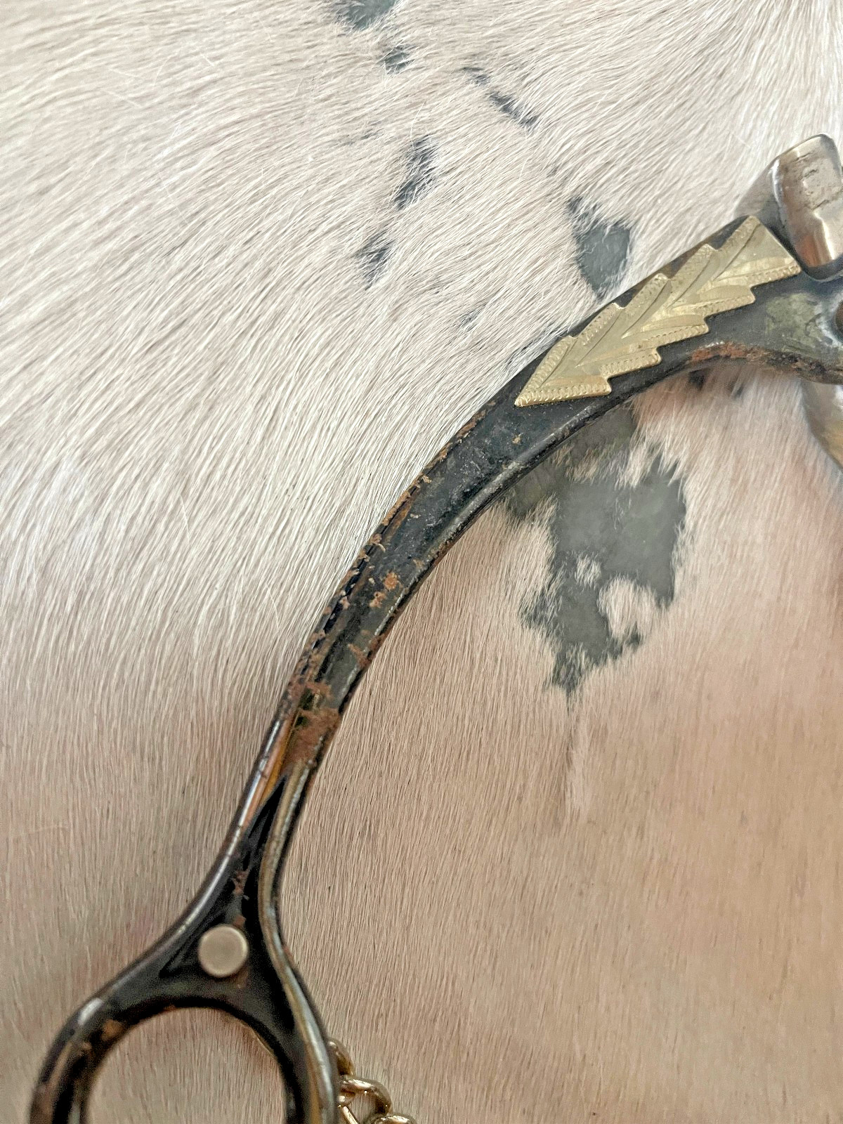Long Shank Snaffle Bit Five and a half in Mouth Copper Roller chain Black Silver