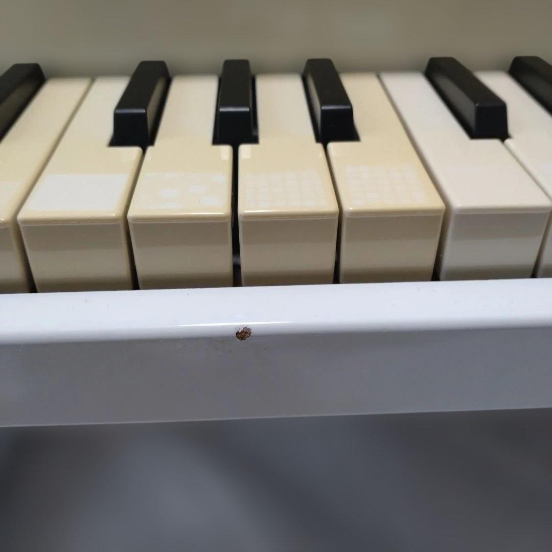 KORG tinyPIANO Kitty Model 25-Key Mini Digital Piano Tested Working