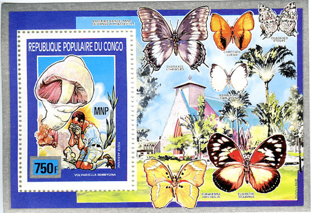 Congo 1991 Imperf Stamps Scouting Mushrooms Butterflies Block No. 1242-1247