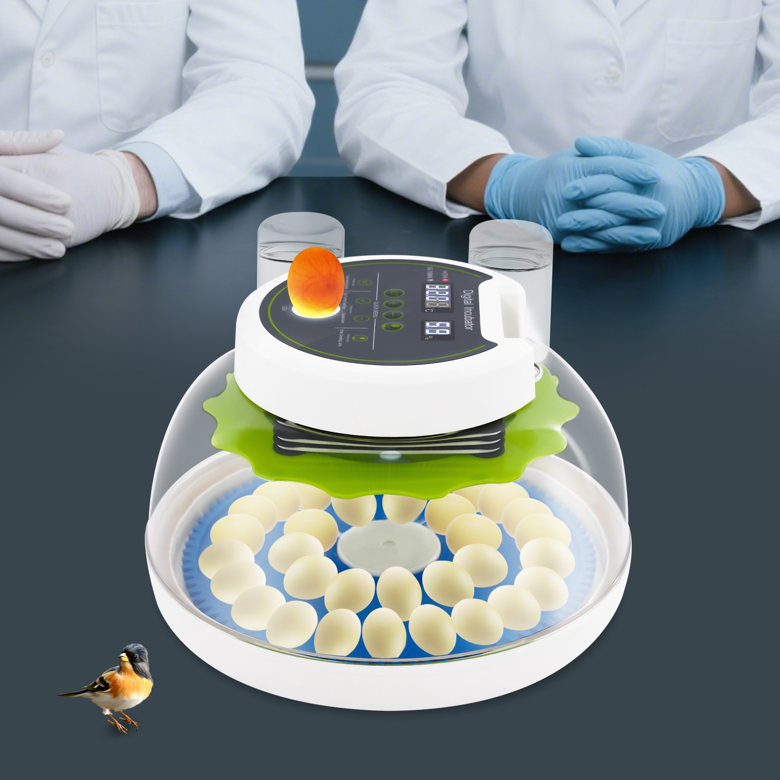 33 Egg Automatic Digital Quail Incubator w/ Auto Turn Waterer Dual Power US Plug