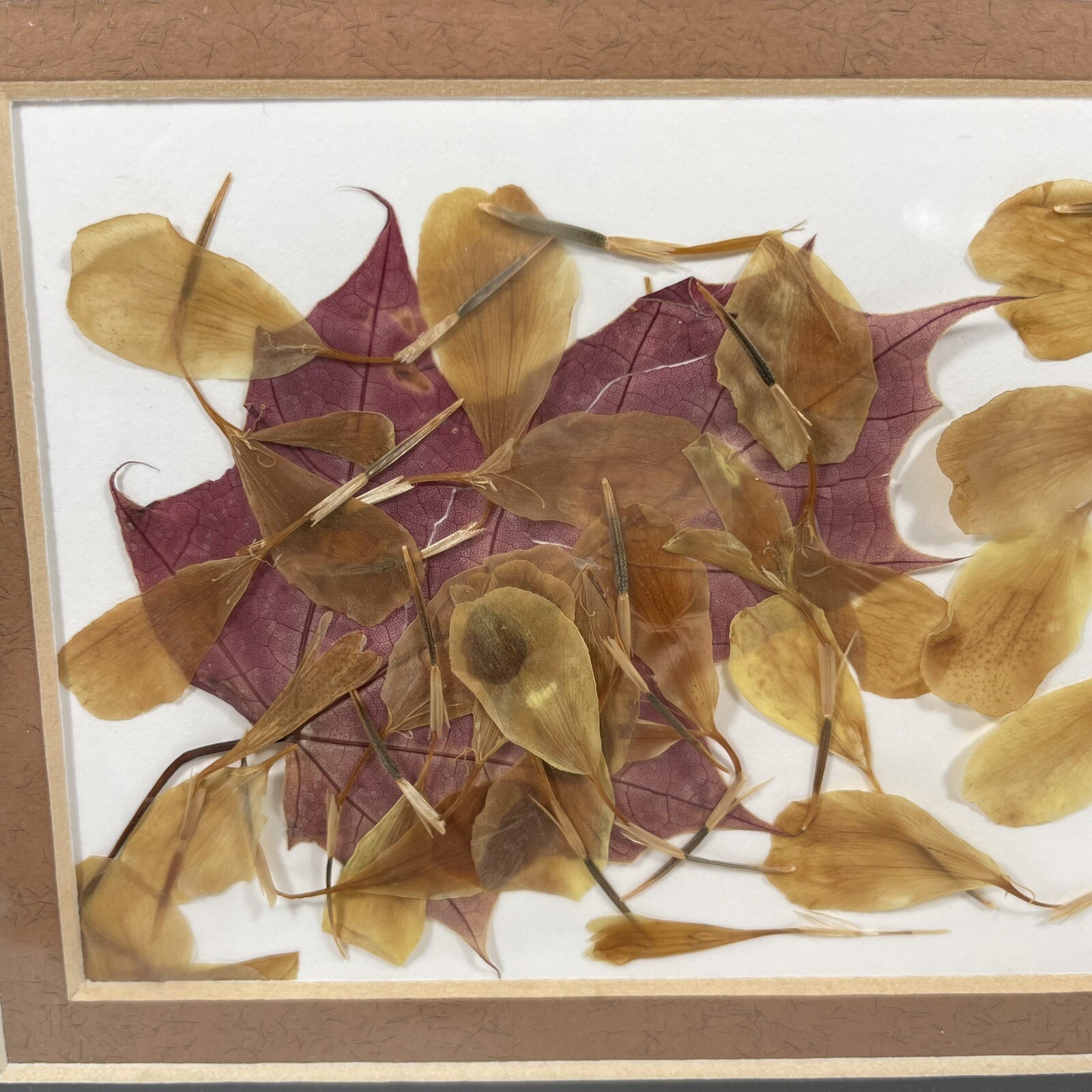 Framed Dried Leaf Collage Purple Yellow Brown Mat Black Frame 5 x 7 Assemblage