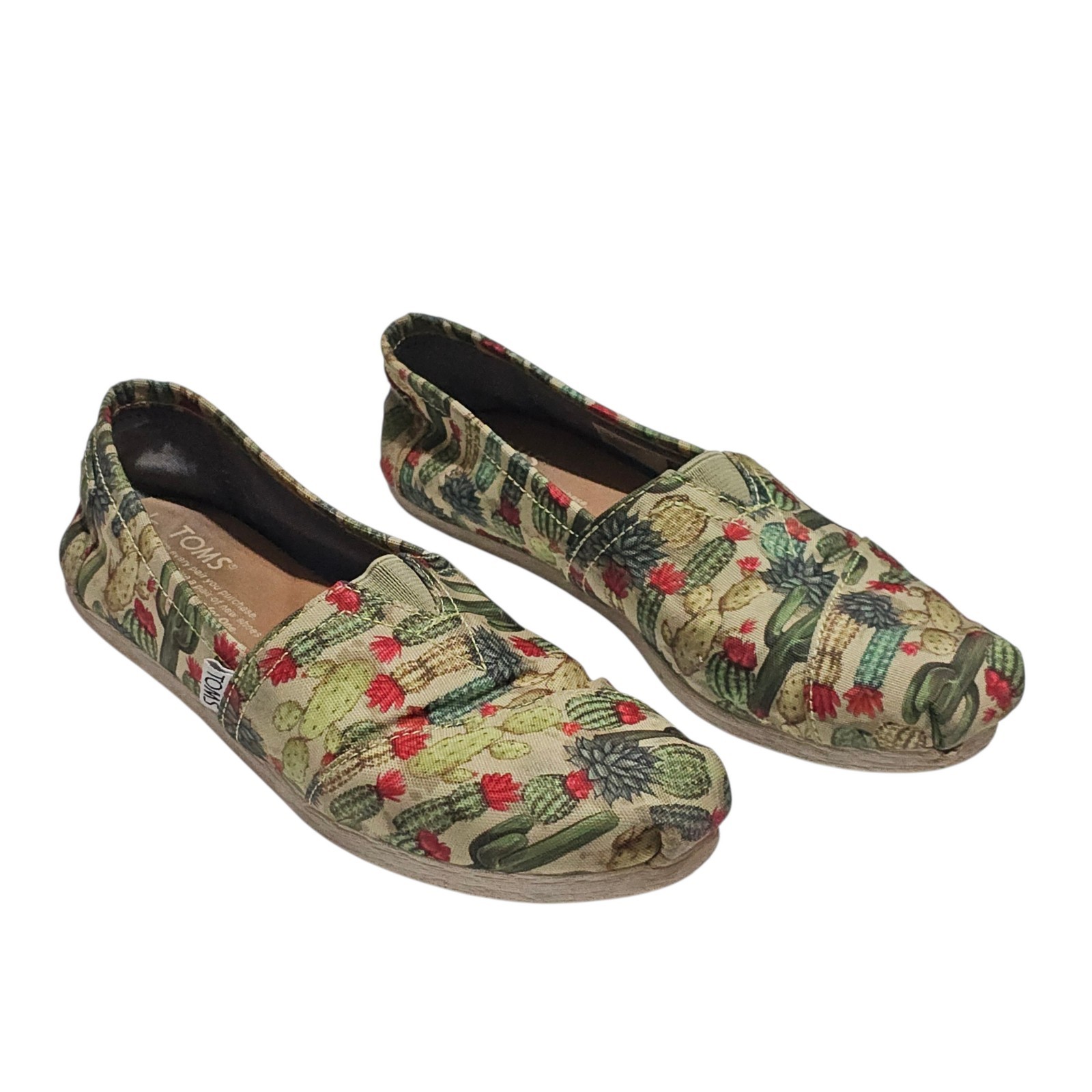 Toms Alpargatas Fern Green Desert Cactus Womens size 6