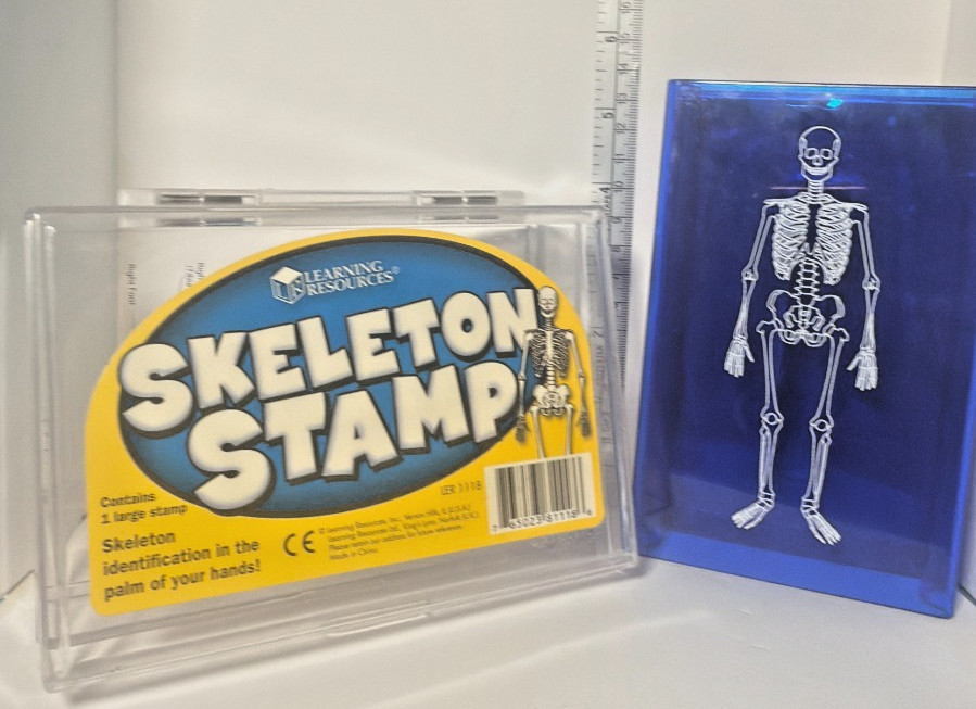 Learning Resources Skeleton Stamp Science Anatomy Classroom Homeschool