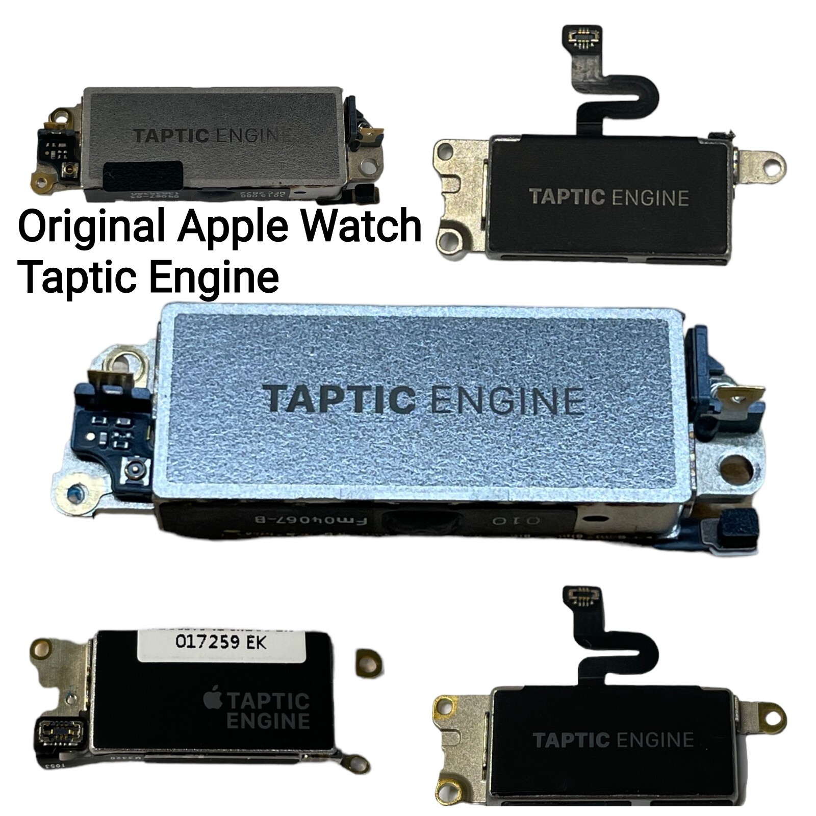 Original OEM Apple Watch Series 3 4 5 SE 6 7 8 9 Ultra Taptic Engine Repair Part