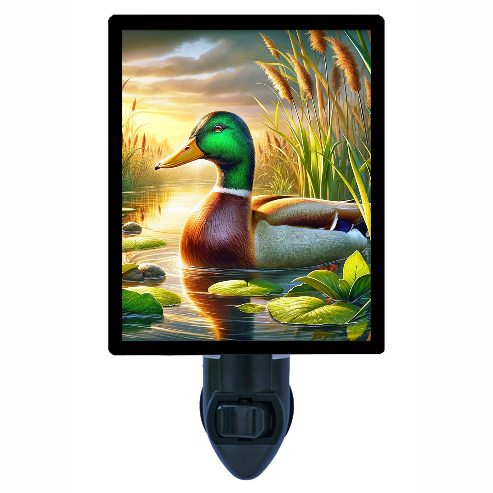 Duck Decorative Photo Night Light, Setting Sun Mallard, Mallard Ducks