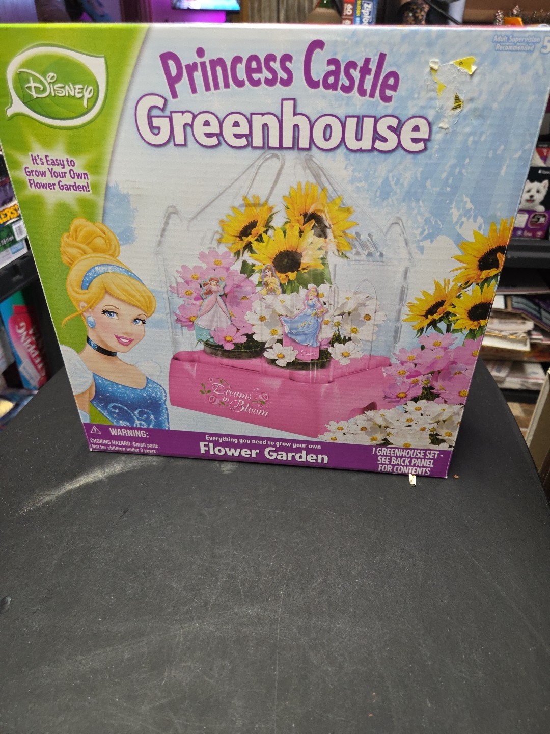 Disney Princess Castle Greenhouse Flower Garden New Flower Seeds Included 2012