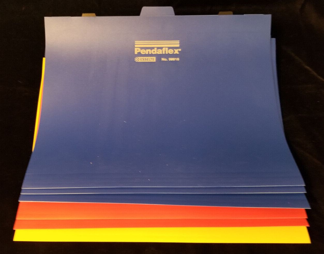 Pendaflex 2 in 1 Poly Folders - 10 Premium Assorted Letter Size - No. 99916
