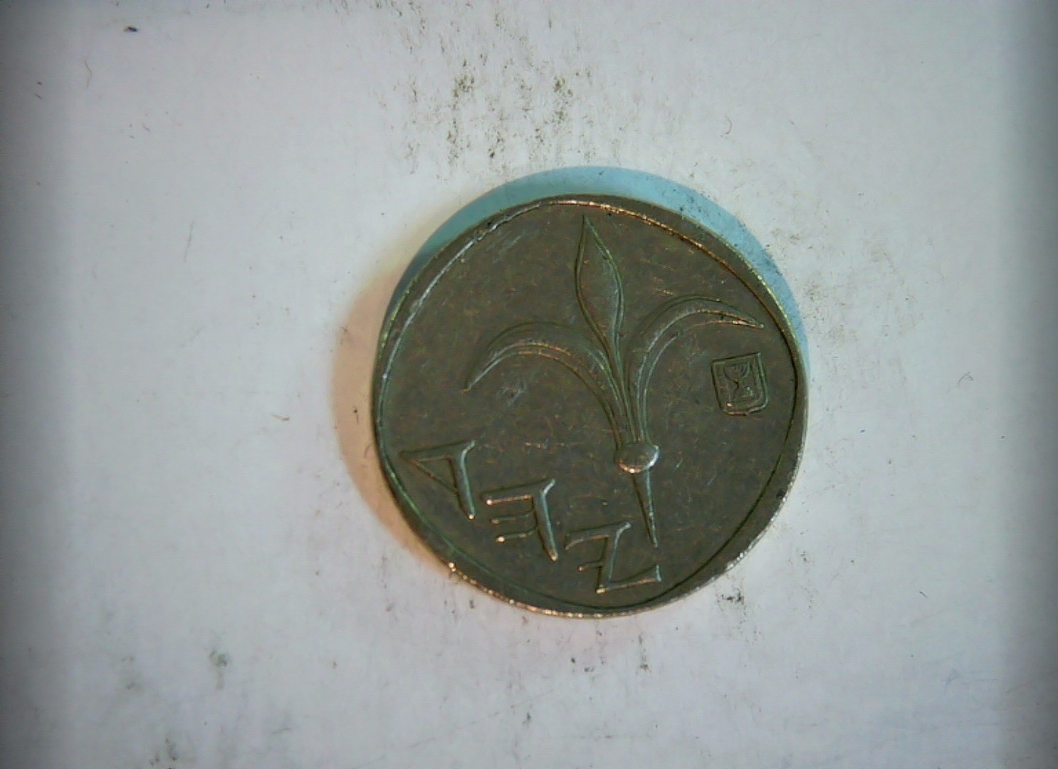 Coin