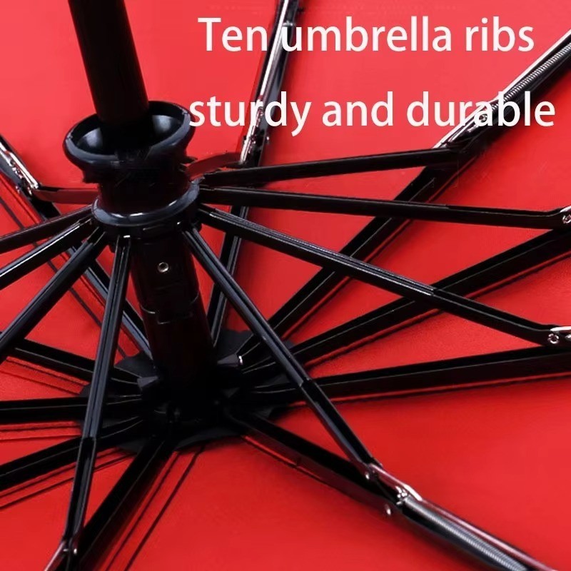Windproof Double Layer Fully Automatic Anti Storm Resistant Umbrella Gift Men