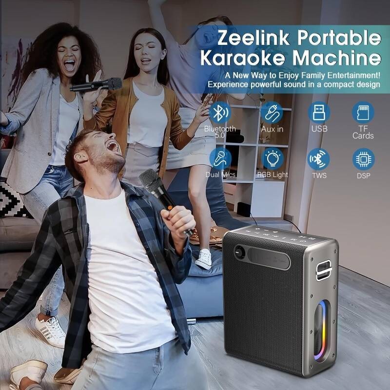 Karaoke Machine with Two Wireless Microphones, Powerful Portable Bluetooth Speak