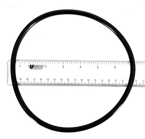 O-Ring, lid (b)