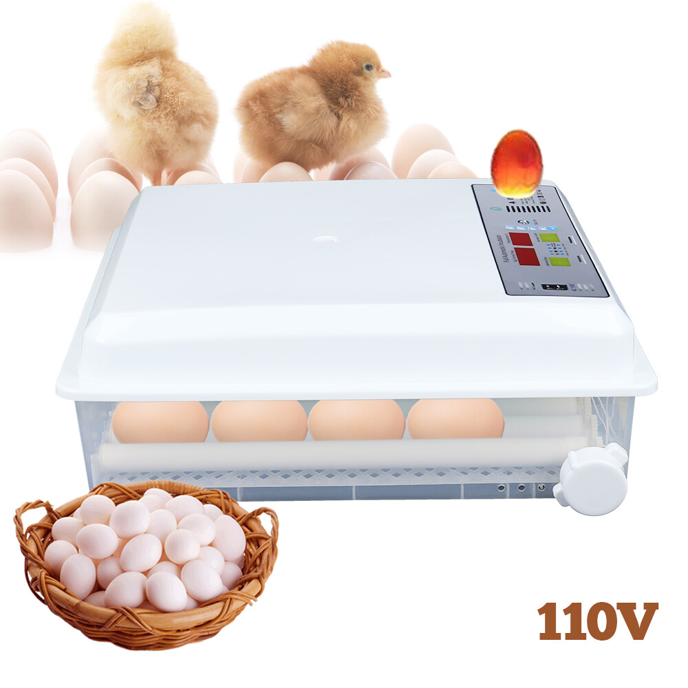 For Hatching Eggs Incubators 64 Egg Incubator Automatic Egg Turning Chicken Farm