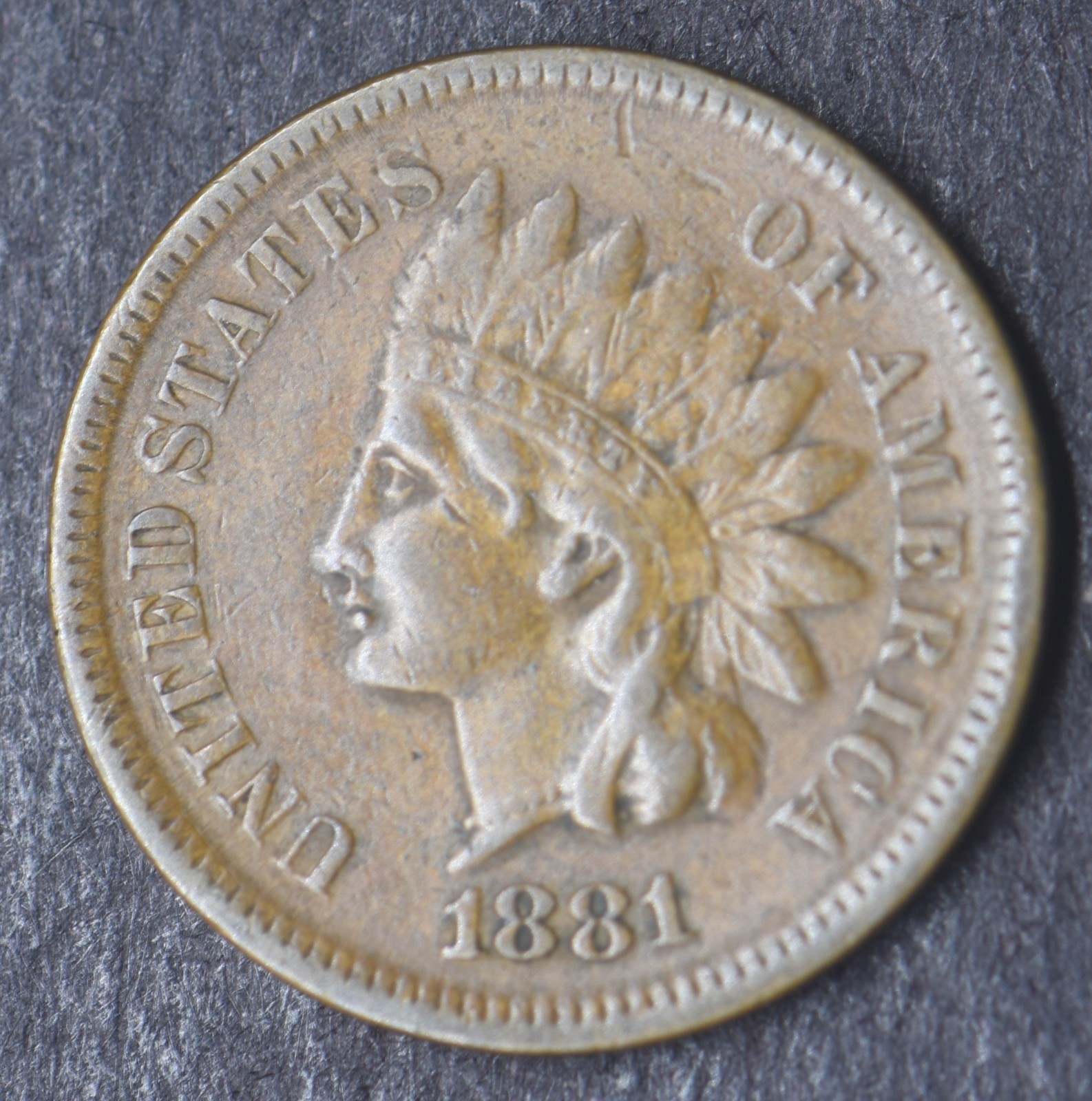 1881-P Indian Head Cent 1C [COINGIANTS]