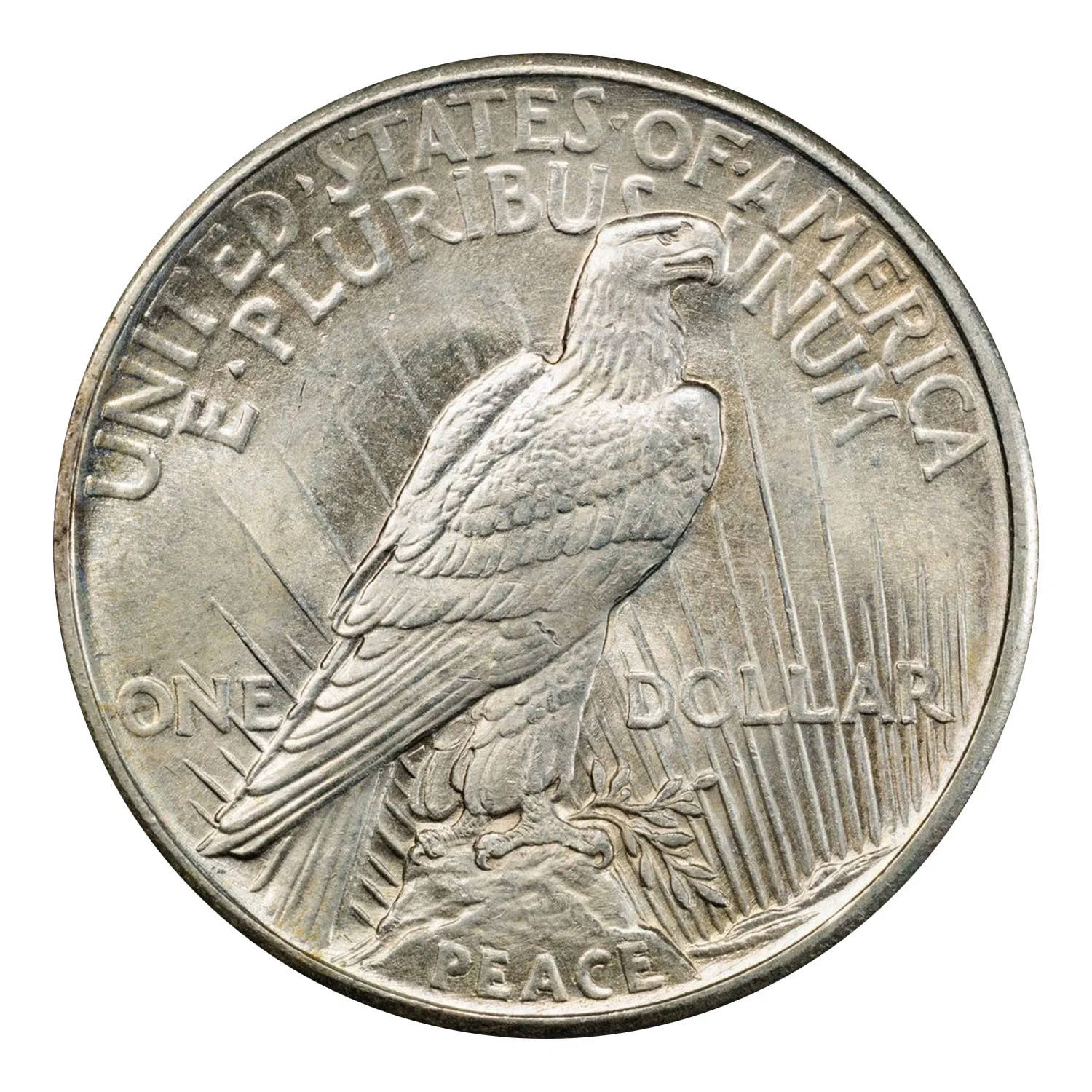 1921 Peace Silver Dollar PCGS MS-64