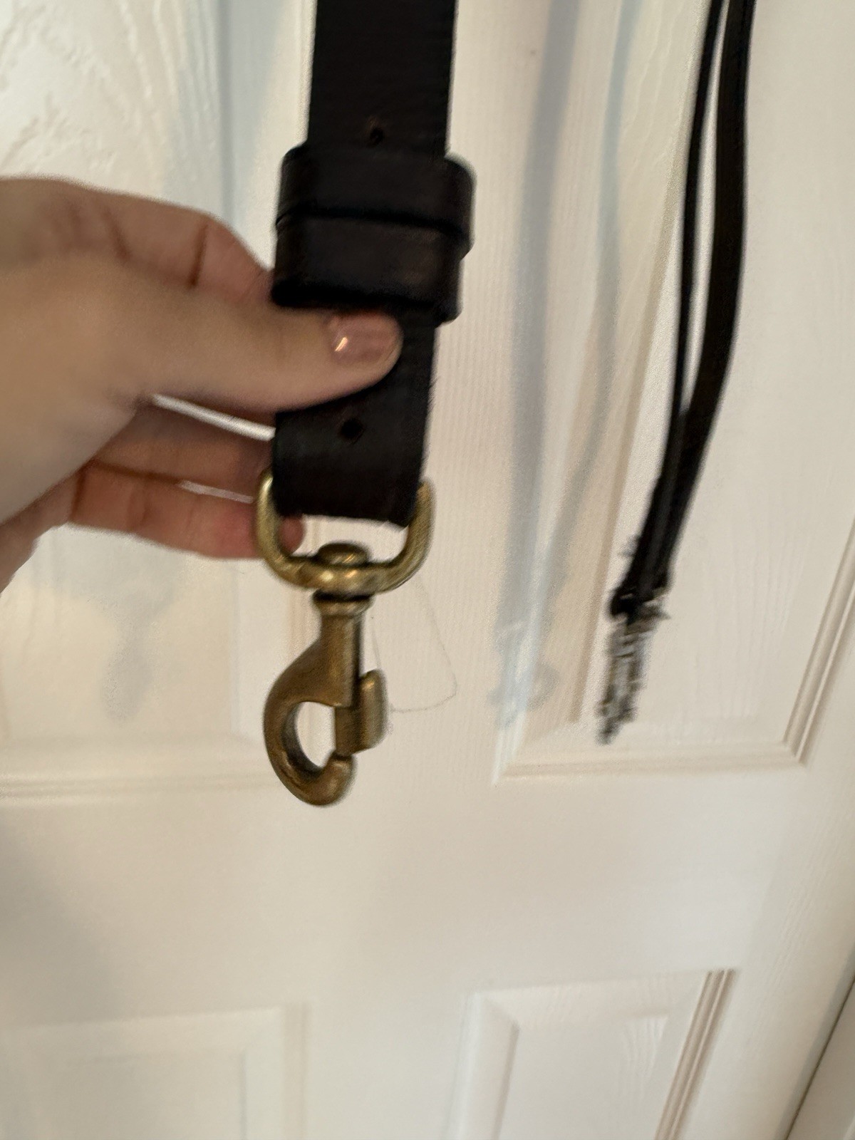 Western German Martingale Training Fork Horse Size