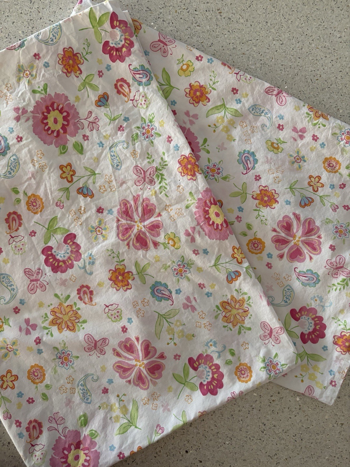 Pottery Barn Kids Whimsical Flower, Butterfly, Paisley Pattern Std Pillowcases