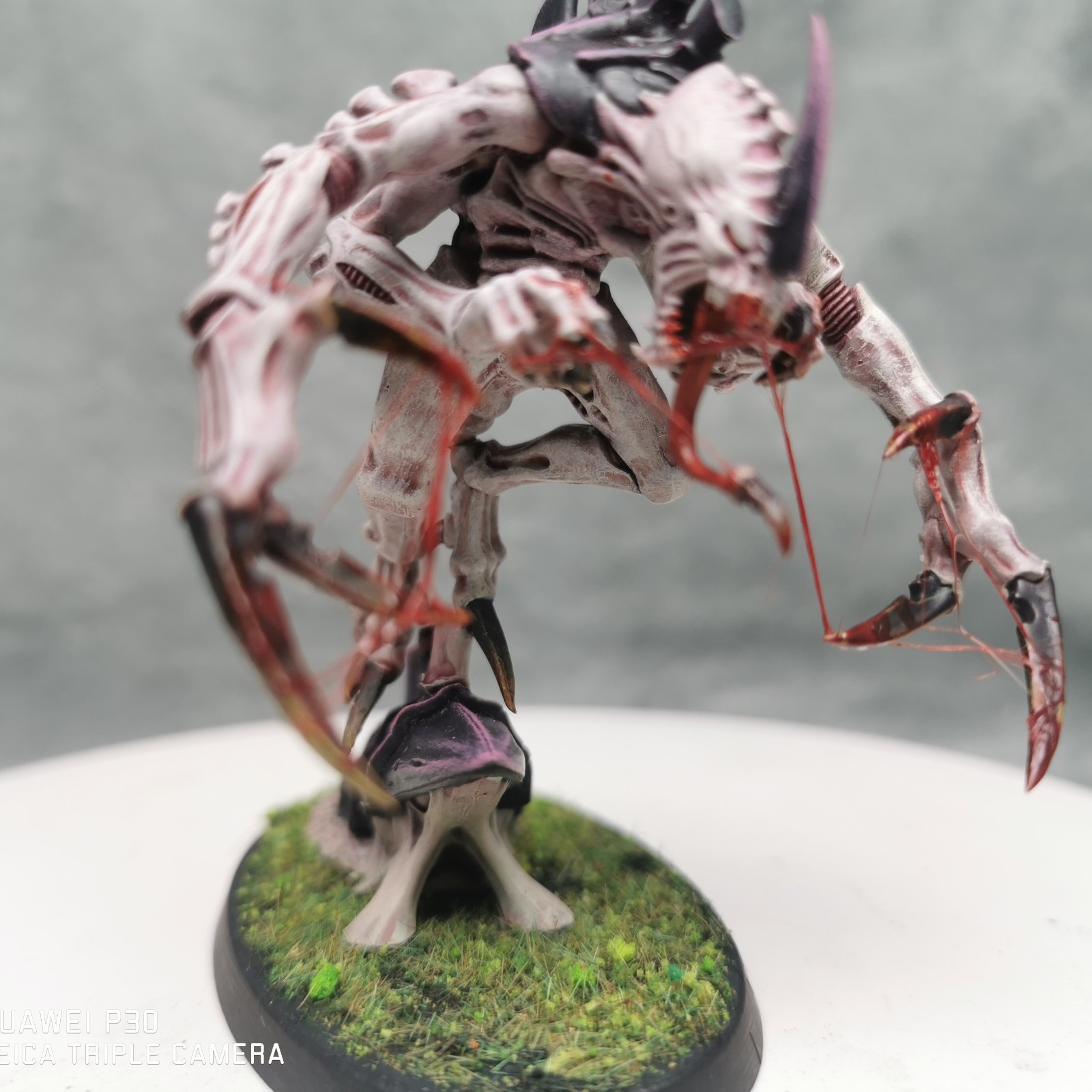 Presale Tyranids Broodlord Figure Pro Painted Warhammer 40k Miniature Commission