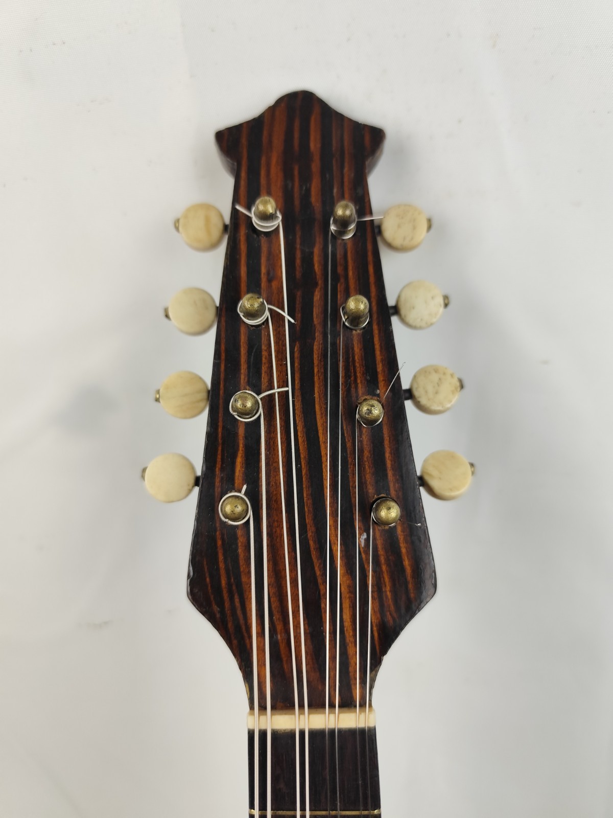 Mandolin 6 String Ridellio Naples 1945 Mandolin 曼陀林 만돌린マンドリン