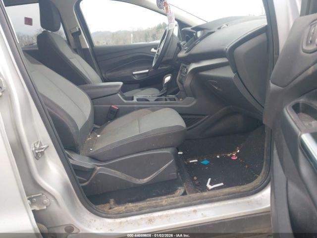 ESCAPE 2019 Glove Box 4968161