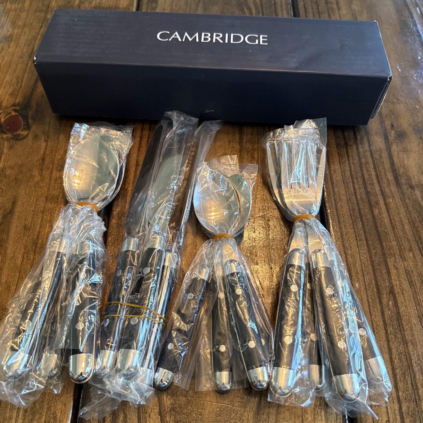 Cambridge Stainless Plastic JUBILEE BLACK -  Service for Four - 16pc Set N/O