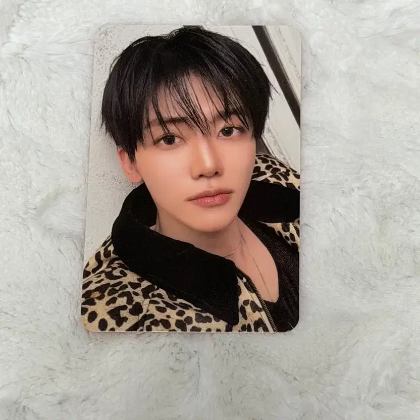 NCT JNJM Official Converse Smart Album Photocard