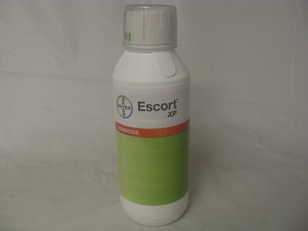 Escort XP Bottle (16 oz)