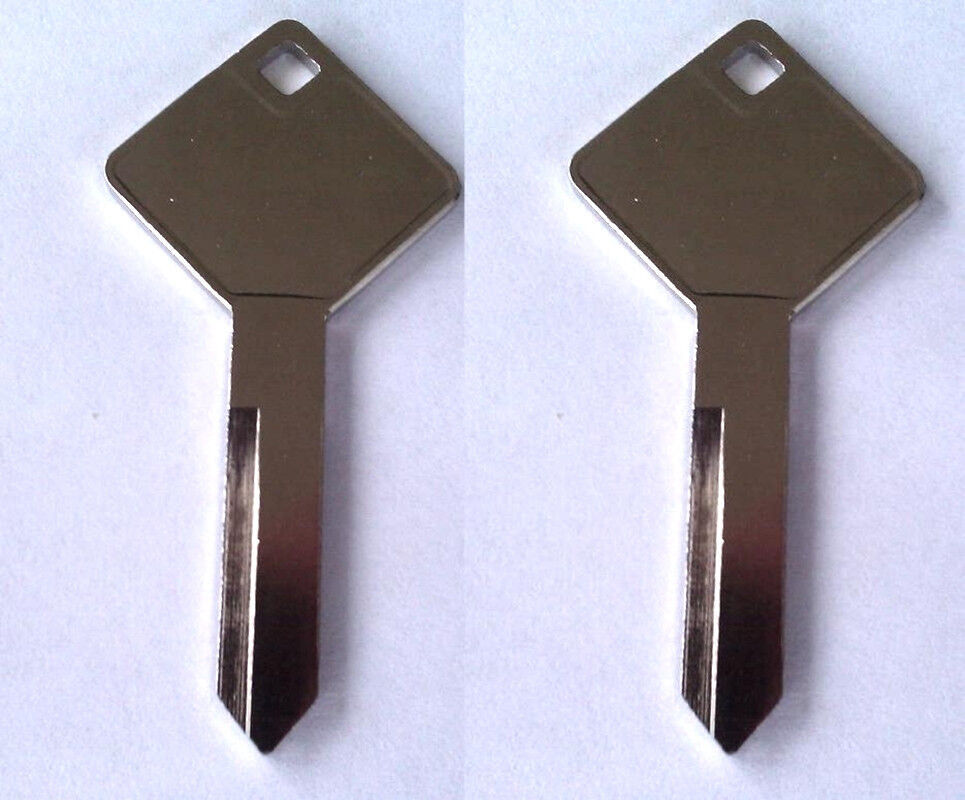 2 All Metal Winnebago Cargo Door Strattec Lock Keys Pre-Cut Key Codes 0001-0010