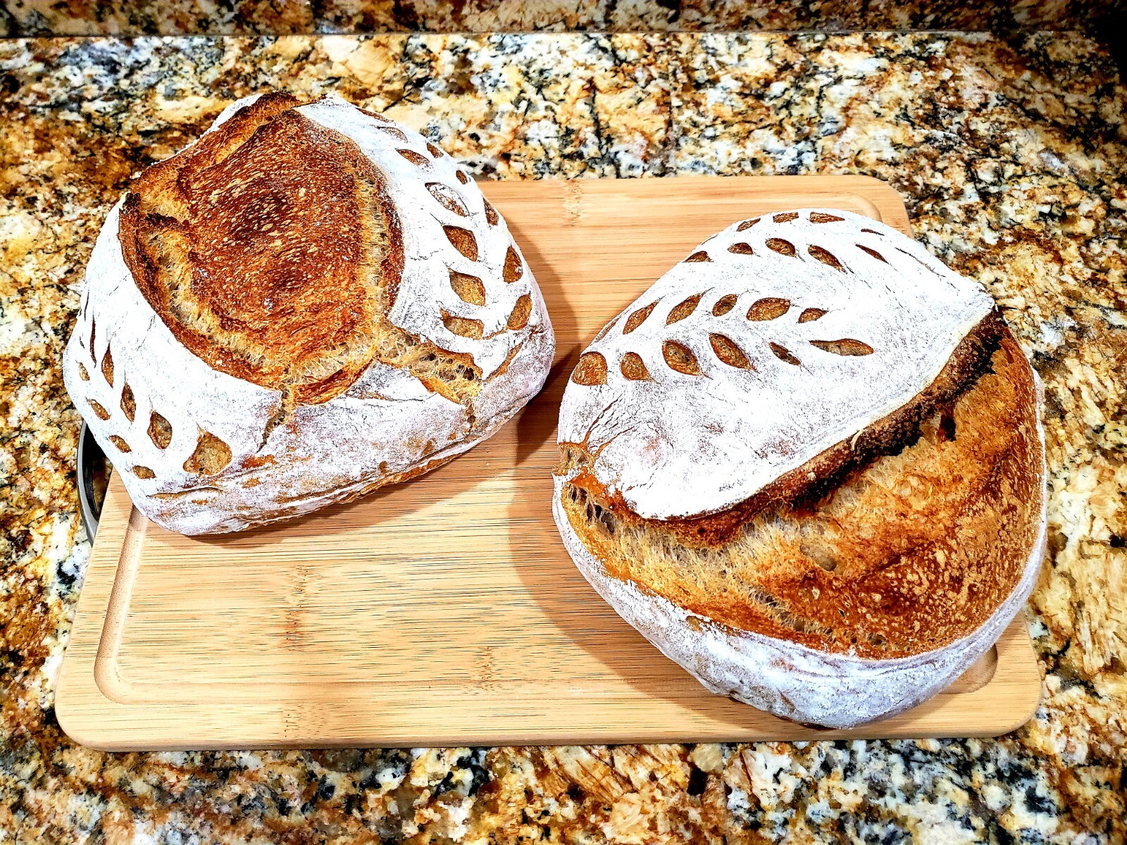 Organic DEHYDRATED SOURDOUGH STARTER