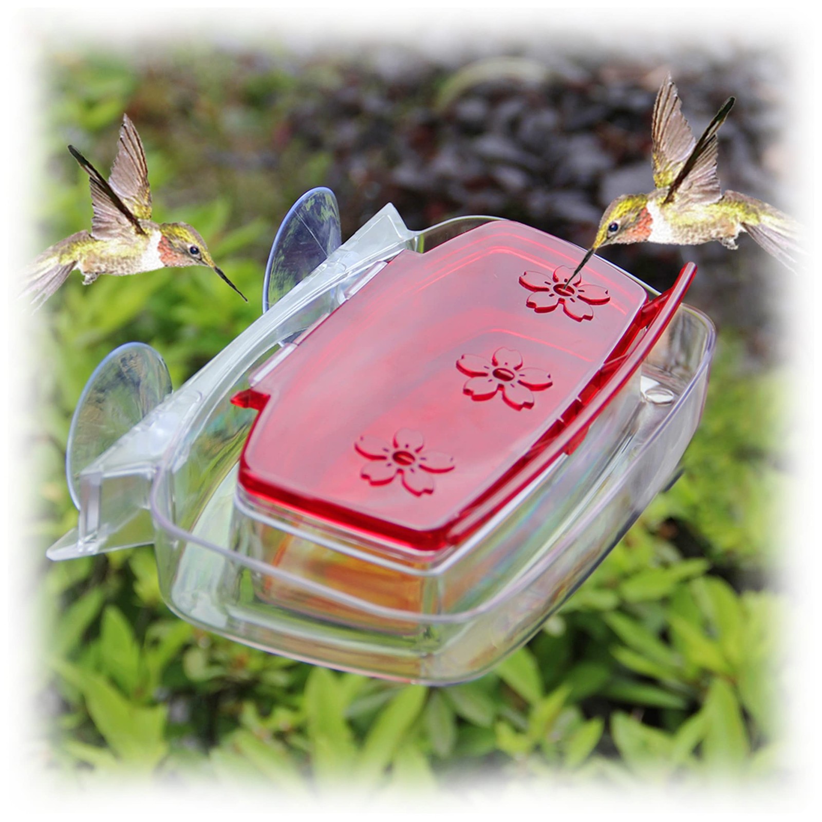 Juegoal Window Hummingbird Feeder, Bird Feeding Tray with 3 Red