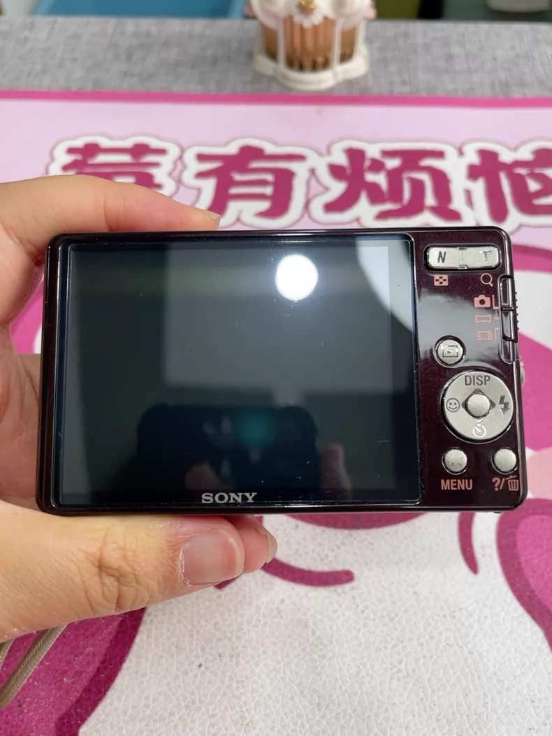 Sony Cyber-shot DSC-W690 16.1MP Digital Camera 10x Optical Zoom - 90%New