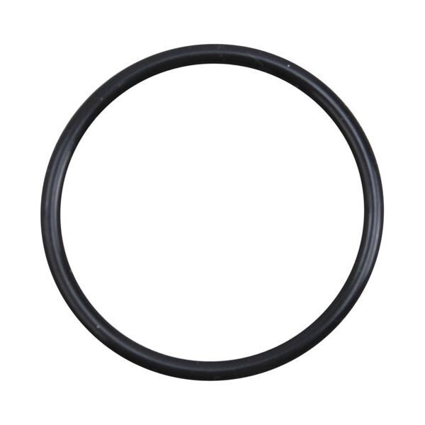 Hoshizaki O Ring 7616-P048 Agitator - OEM + Free Shipping