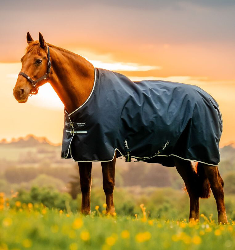 Amigo Ripstop 900D Pony Turnout 100g - Whitney Navy
