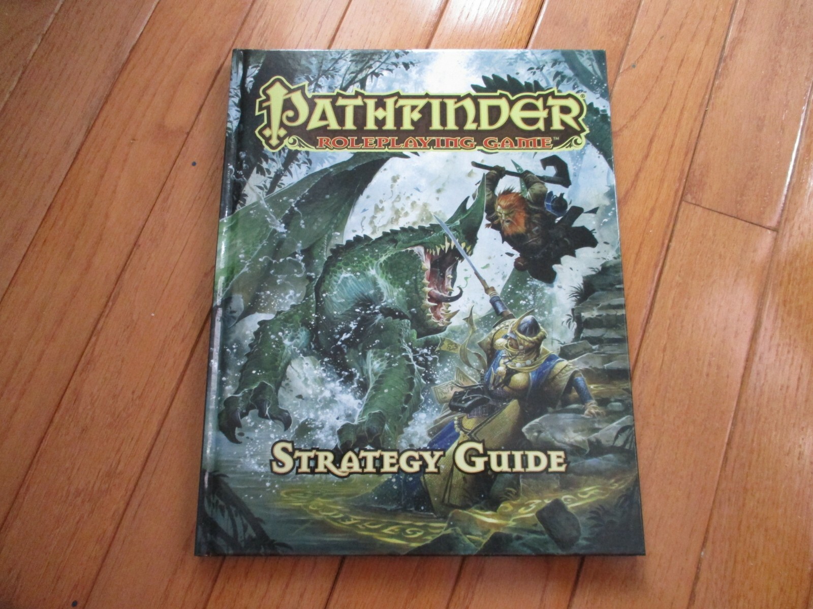 D&D D20 Paizo Pathfinder Strategy Guide HC NM