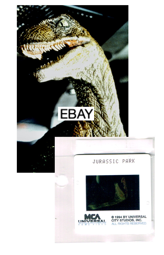 SALE: JURASSIC PARK 1994 ORIG MOVIE SLIDE #2 DINOSAUR SPIELBERG SCI-FI SAM NEILL