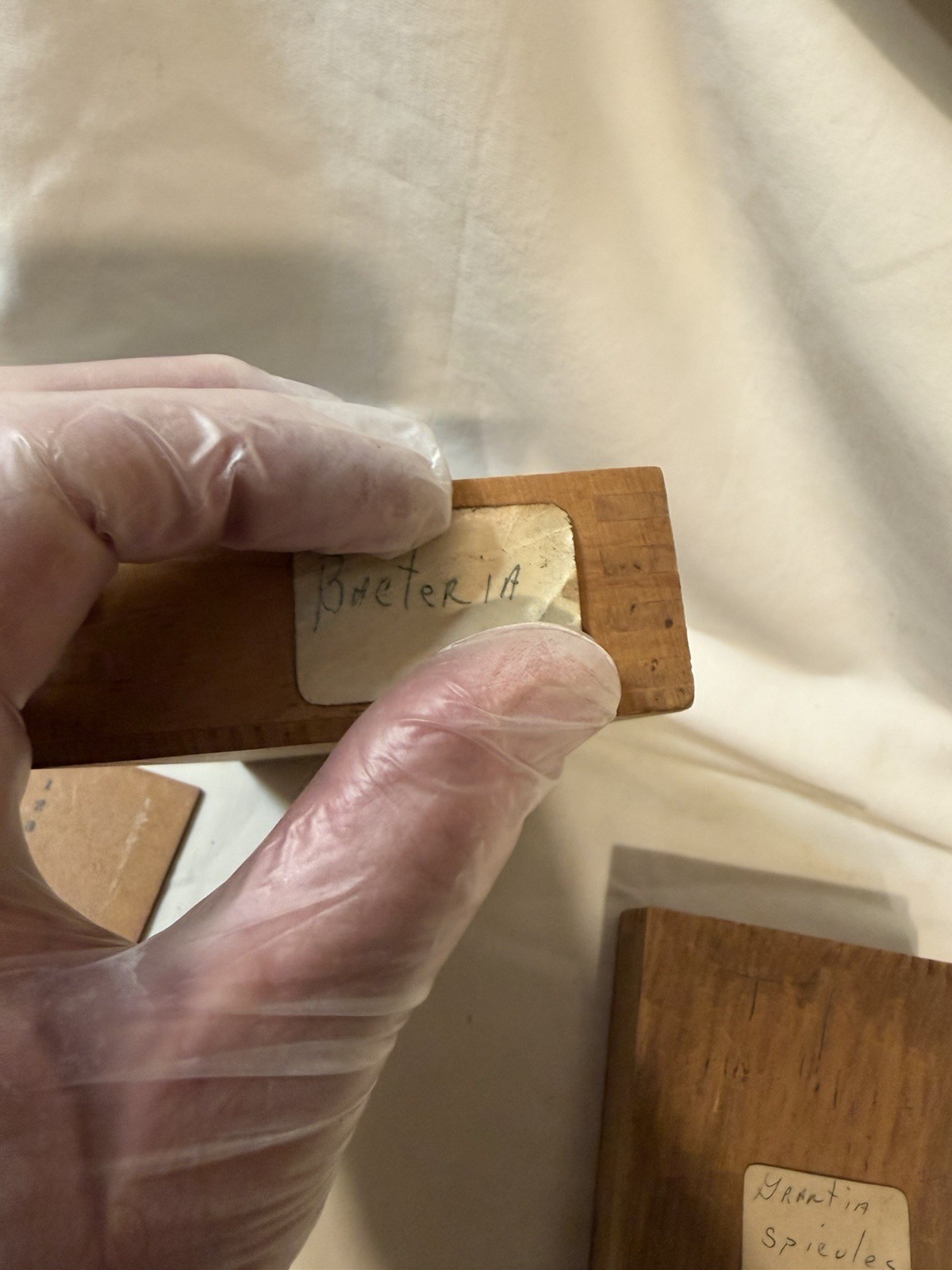 Vintage Microscope Medical Lab Slides