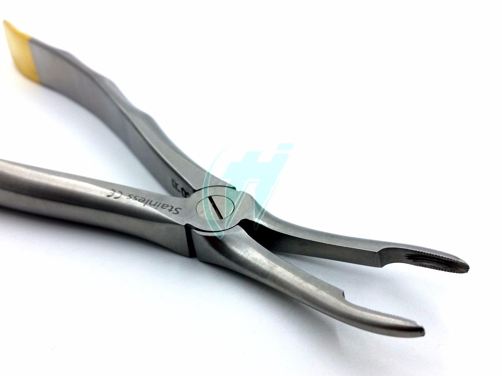 German Stainless Root Tip Dental Extracting Extraction Forceps Curved #44