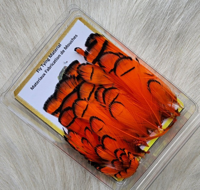 Lady Amherst Feathers.  Fly Tying Feather.  Color; Orange.. Grade "A"