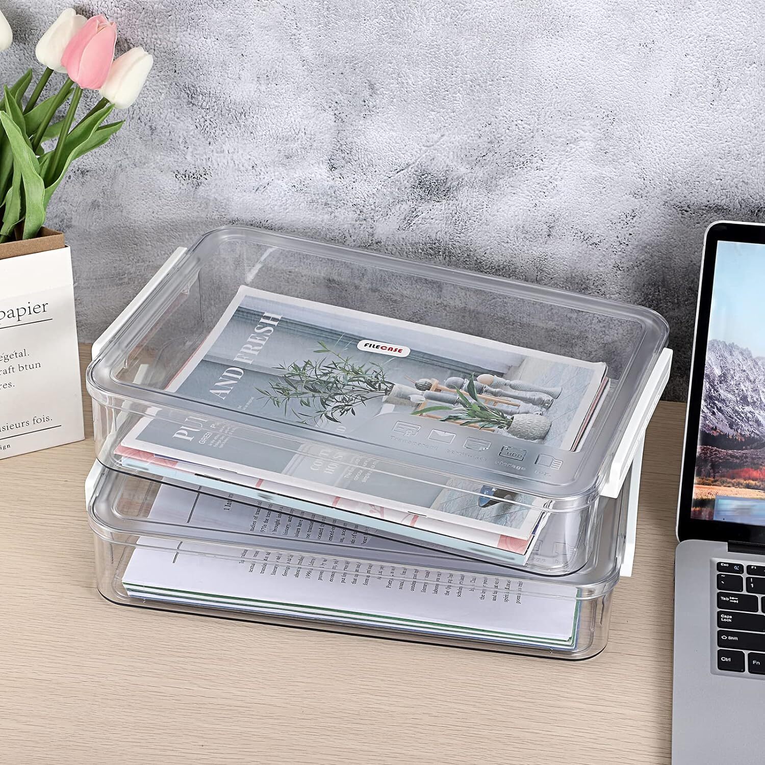 BTSKY 2 Pack Clear Plastic Stackable Storage Box File Protector Big, White
