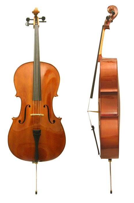 Pirastro Aricore Cello D String 4/4