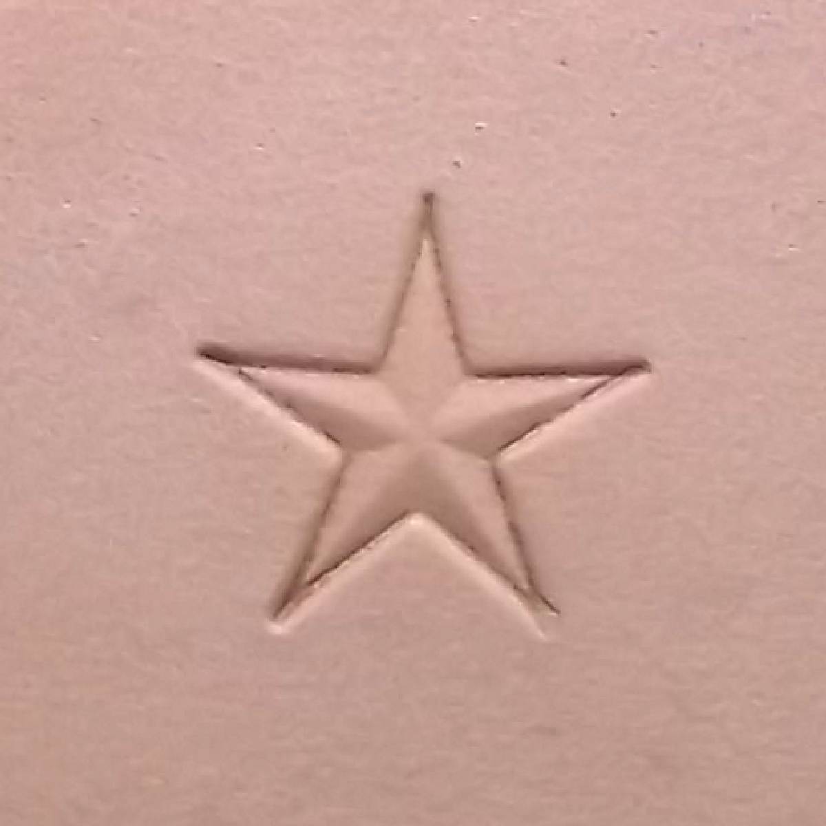 Large Star Leather Stamp 3/4" (19 mm) Z785 US Stamps