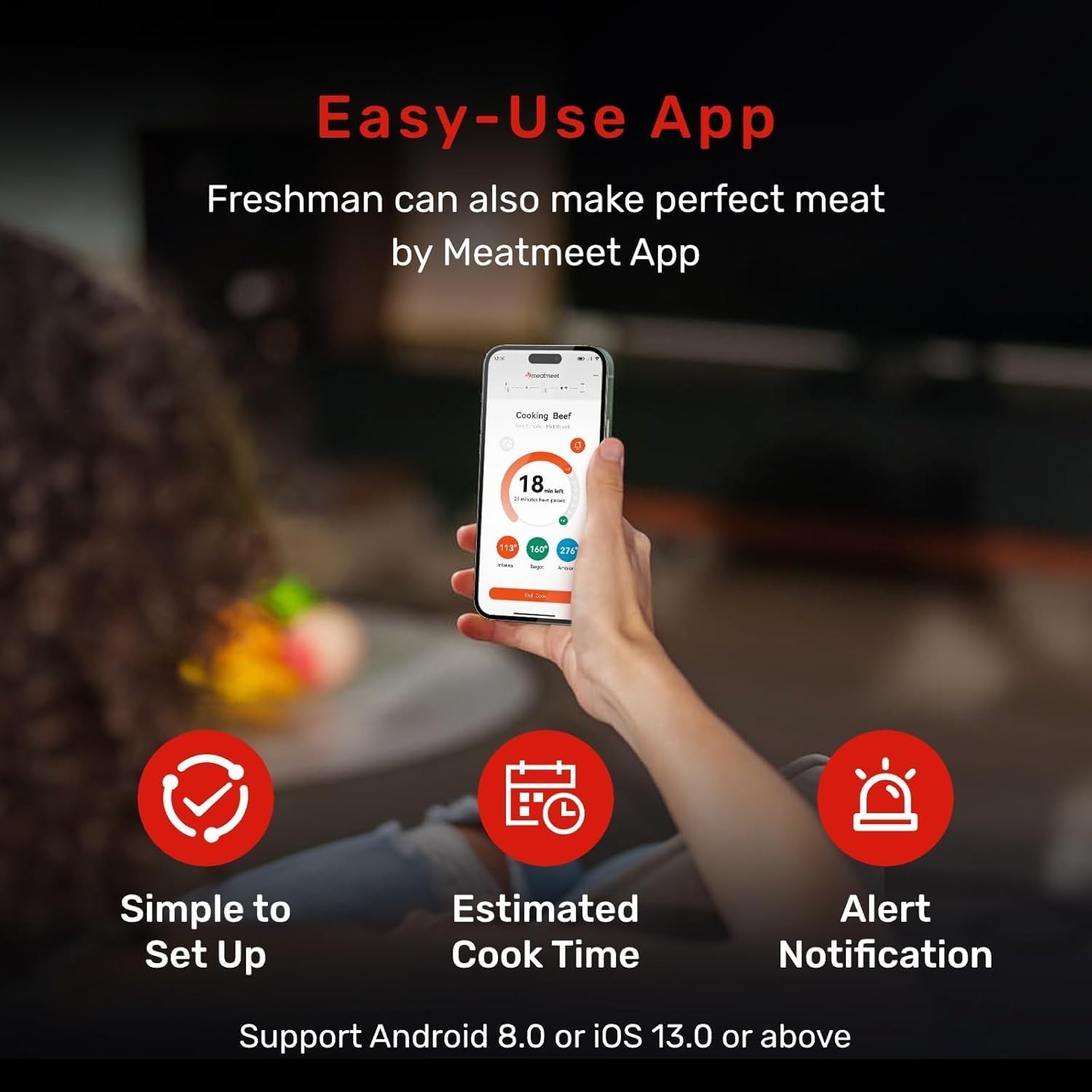 Wireless Meat Thermometer AI WiFi Bluetooth Digital Waterproof Pro